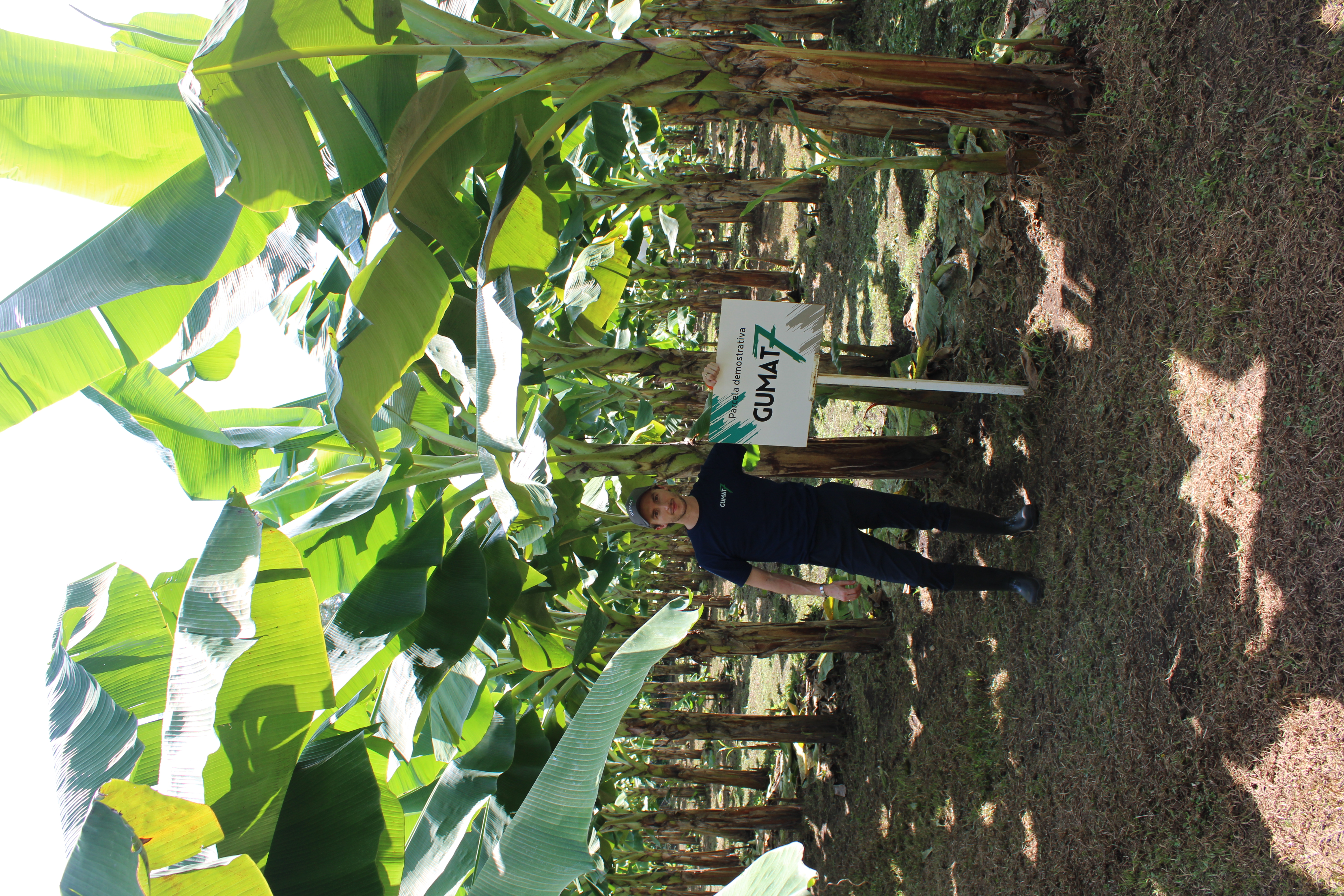 Plantas Fuertes